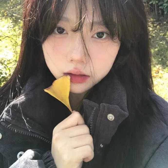 完美房子